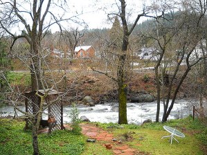 Stream at flood